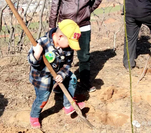 麻将胡了2(中国游)官方网站 - IOS/安卓通用版/手机APP下载