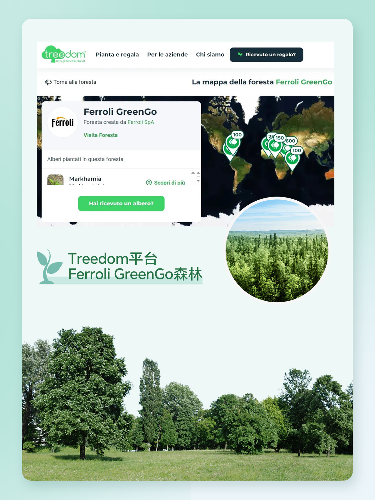 hjc888黄金城--手机版app官网